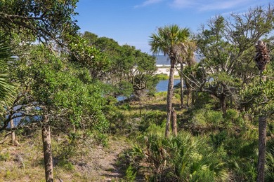 Welcome to 411 Pelican Flight Drive, an extraordinary oceanview - photo 3