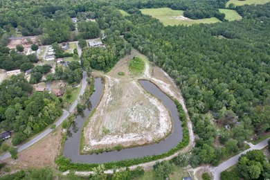 (private lake, pond, coastal) Acreage For Sale in Kingstree South Carolina