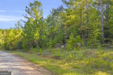 Lake Lot For Sale in Elberton, Georgia