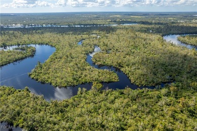 Lake Acreage For Sale in Arcadia, Florida