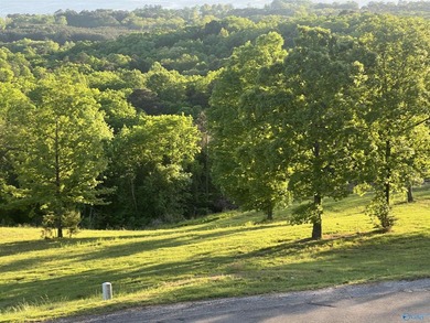 Discover the perfect setting for your dream home on this - photo 2