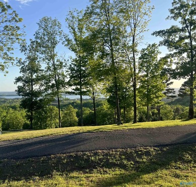 Discover the perfect setting for your dream home on this - photo 3