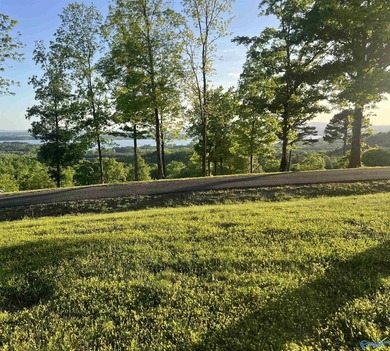 Discover the perfect setting for your dream home on this - photo 4