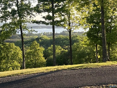 Discover the perfect setting for your dream home on this - photo 5