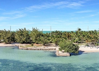 Beautiful 100' of oceanfront property on Lower Matecumbe Key - photo 1