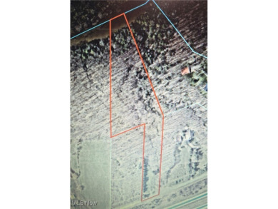 Lake Acreage For Sale in Leroy, Ohio