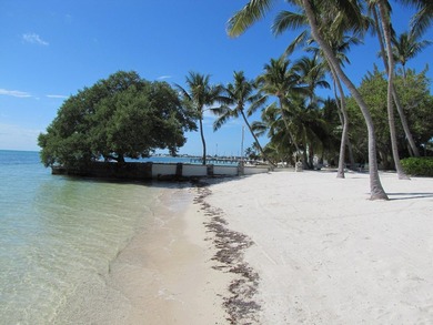 Beautiful 100' of oceanfront property on Lower Matecumbe Key - photo 2