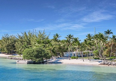 Beautiful 100' of oceanfront property on Lower Matecumbe Key - photo 4