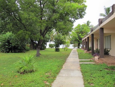 Beautiful 100' of oceanfront property on Lower Matecumbe Key - photo 8