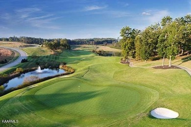 Prime lakeview homesite in the heart of WindRiver Lakefront & - photo 13