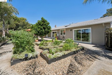 BT 7/20 11-1pm Parkridge Estates Modern Ranch Oasis. Once in a - photo 16