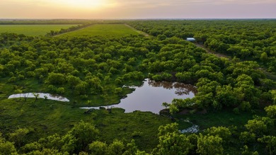 Just outside of Graham, Texas, this exceptional high-fence ranch - photo 20