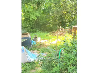 Endless potential awaits! This 2-bedroom, 1-bath fixer-upper - photo 4