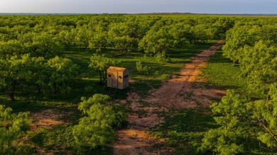 Just outside of Graham, Texas, this exceptional high-fence ranch - photo 33