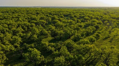 Just outside of Graham, Texas, this exceptional high-fence ranch - photo 34