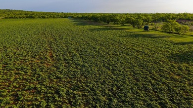 Just outside of Graham, Texas, this exceptional high-fence ranch - photo 35