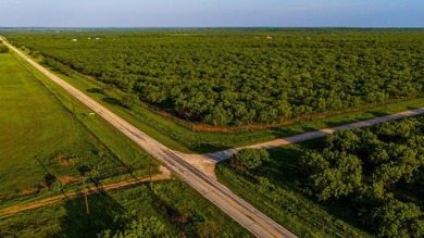 Just outside of Graham, Texas, this exceptional high-fence ranch - photo 38