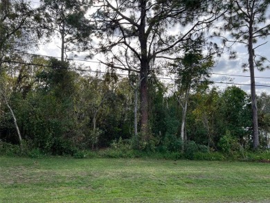 (private lake, pond, creek) Lot For Sale in New Port Richey Florida