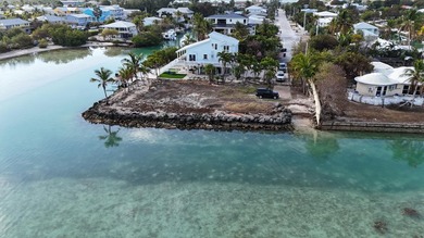 Rare opportunity to own one of the only waterfront lots - photo 6