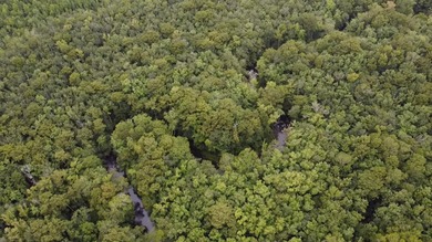 (private lake, pond, creek) Acreage Sale Pending in Springfield South Carolina