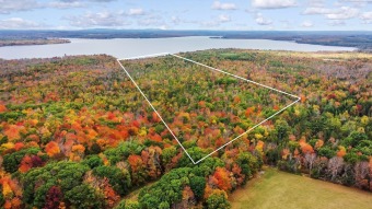 Lake Acreage Off Market in Newport, Maine