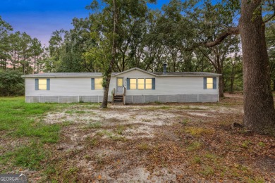 Lake Home For Sale in Waverly, Georgia