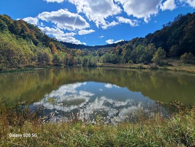 TRULY UNIQUE, PRIVATE, GEM OF A PROPERTY!!! 475 ACRES, TWO - photo 14