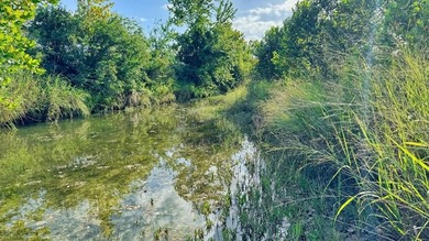 (private lake, pond, creek) Acreage For Sale in Medina Texas