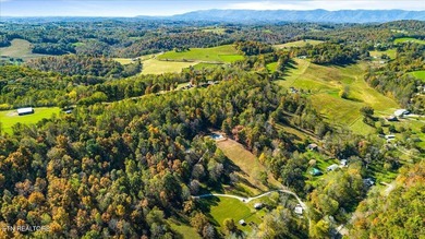 This 8.9-acre property sits just 1 mile from Norris Lake and - photo 34