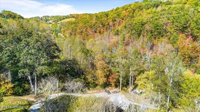This 8.9-acre property sits just 1 mile from Norris Lake and - photo 36