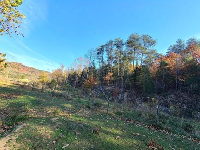 TRULY UNIQUE, PRIVATE, GEM OF A PROPERTY!!! 475 ACRES, TWO - photo 46