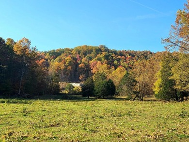 TRULY UNIQUE, PRIVATE, GEM OF A PROPERTY!!! 475 ACRES, TWO - photo 50