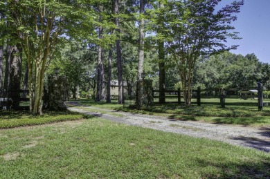(private lake, pond, creek) Home For Sale in Awendaw South Carolina