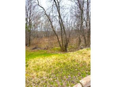 (private lake, pond, creek) Lot For Sale in Duluth Minnesota
