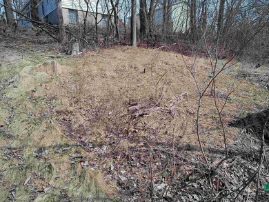 Your Lake view spring project is ready and waiting. This 3 - photo 6