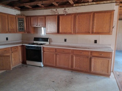 Your Lake view spring project is ready and waiting. This 3 - photo 9