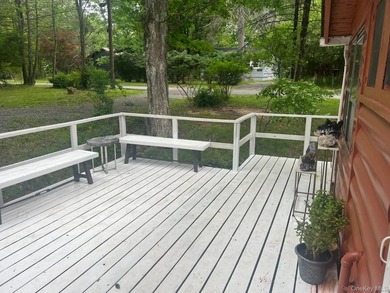 Charming Updated Seasonal Smallwood Cottage Near Bethel Woods - - photo 2
