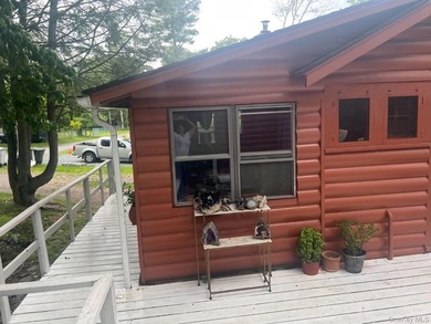 Charming Updated Seasonal Smallwood Cottage Near Bethel Woods - - photo 3