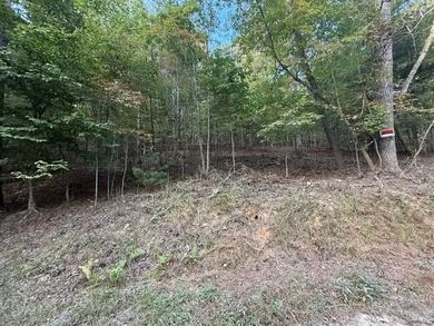 Toccoa River - Fannin County Acreage For Sale in Mineral Bluff Georgia