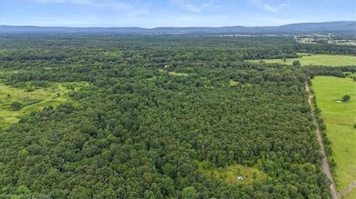 Nestled in the scenic Kiamichi River Valley, with direct access - photo 36