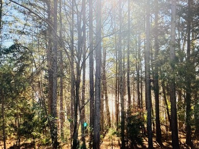 Affordable lake living on beautiful Leesville Lake! Conveniently - photo 2