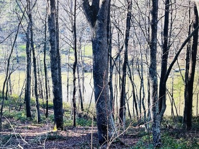 Affordable lake living on beautiful Leesville Lake! Conveniently - photo 3