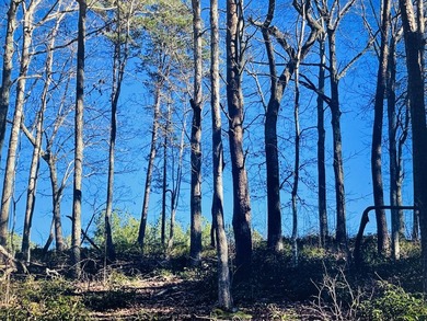 Affordable lake living on beautiful Leesville Lake! Conveniently - photo 6