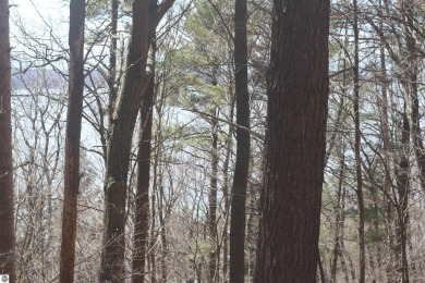 (private lake, pond, creek) Acreage For Sale in Beulah Michigan