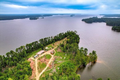 Lake Acreage For Sale in Appling, Georgia