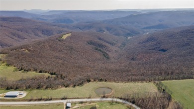 Discover a rare opportunity on Firetower Road-55.09 acres - photo 3