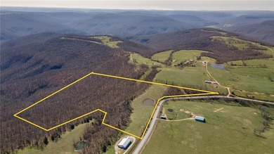 Discover a rare opportunity on Firetower Road-55.09 acres - photo 5
