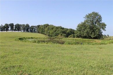 Discover a rare opportunity on Firetower Road-55.09 acres - photo 8