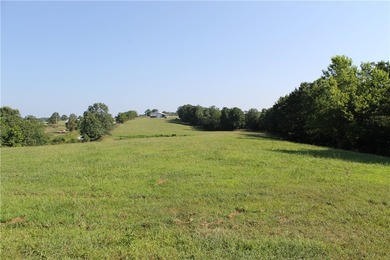 Discover a rare opportunity on Firetower Road-55.09 acres - photo 9