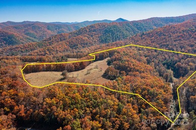 (private lake, pond, coastal) Acreage Active Under Contract in Hot Springs North Carolina